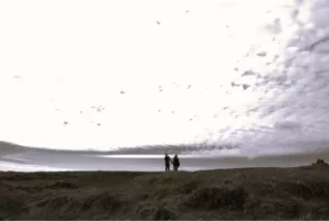 naturaleza proyecto artna (1)