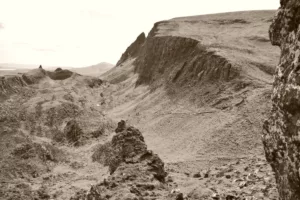 naturaleza proyecto artna (5)